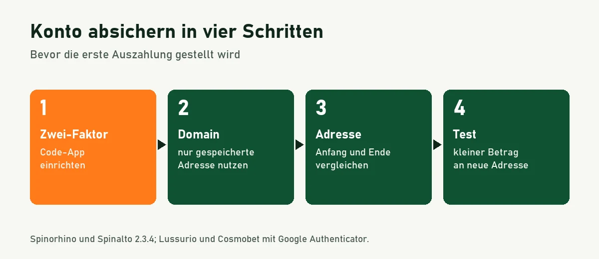 Ablaufgrafik: Zwei-Faktor einrichten, echte Domain nutzen, Auszahlungsadresse vergleichen, Testbetrag senden