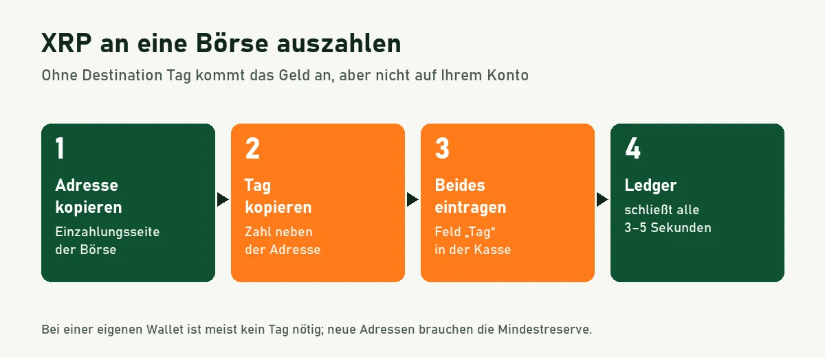 Ablaufgrafik: XRP-Adresse und Destination Tag von der Börse kopieren, beide in der Kasse eintragen, Ledger bestätigt in Sekunden