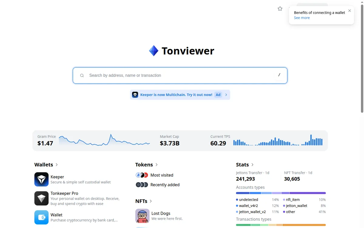 Startseite von Tonviewer, dem Explorer des TON-Netzes